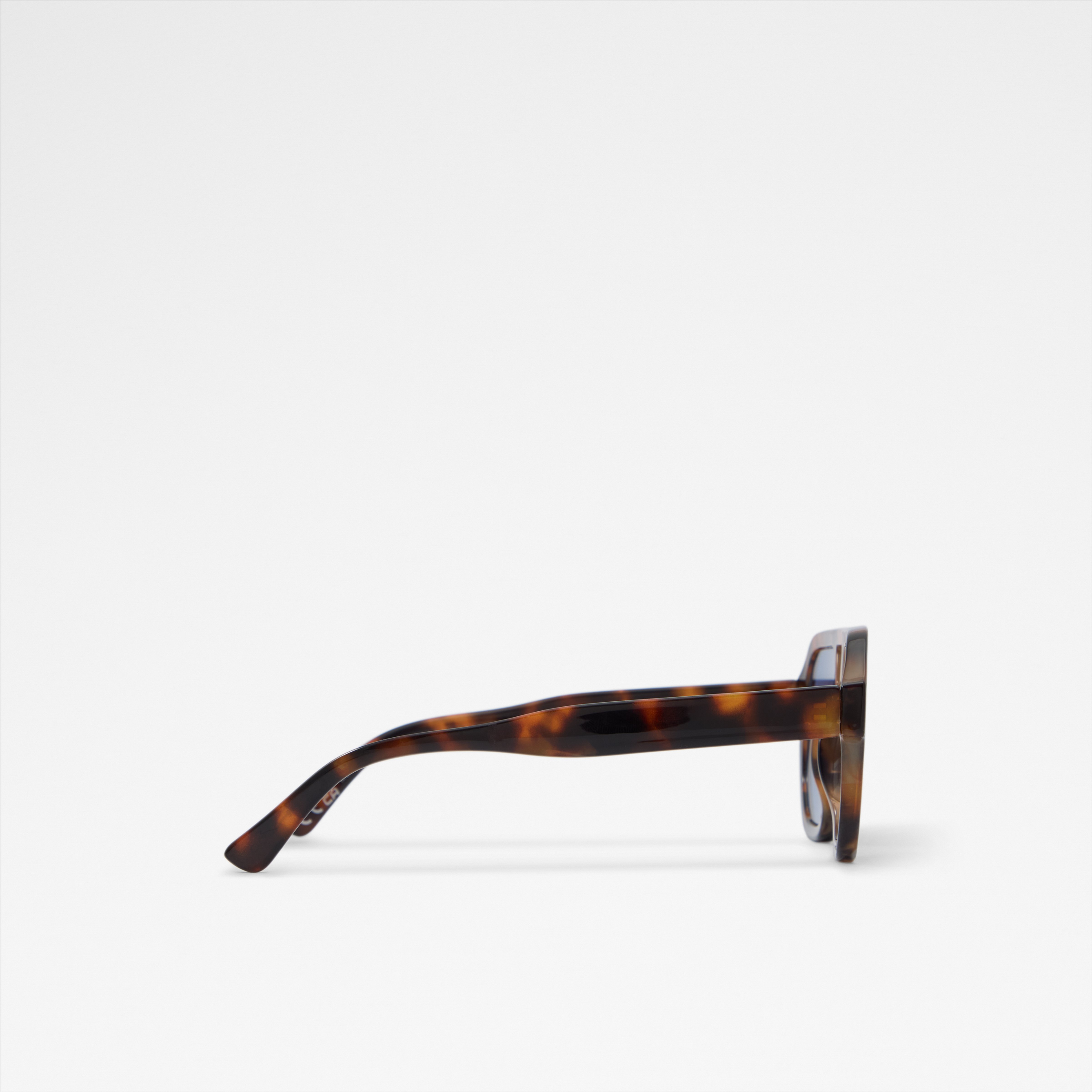 ELAURIEN Brown Men Sunglass