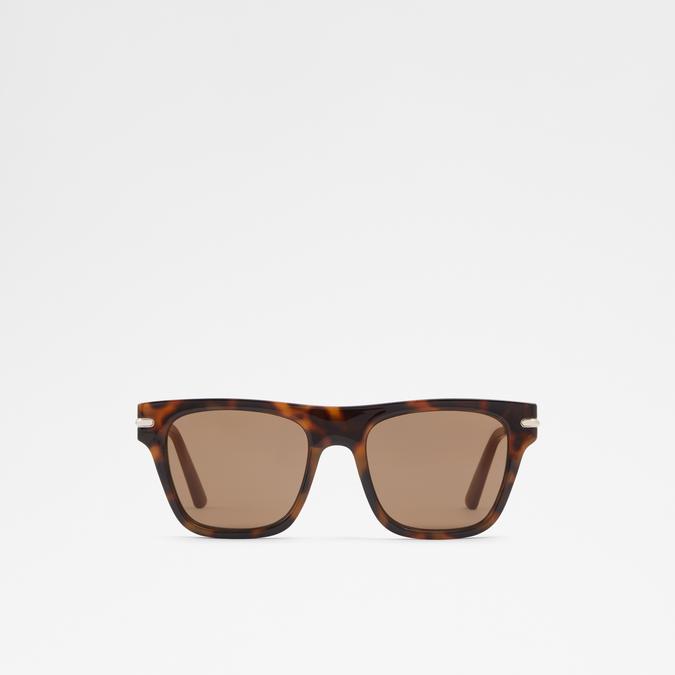 Lareiwyn Men's Brown Sunglasses