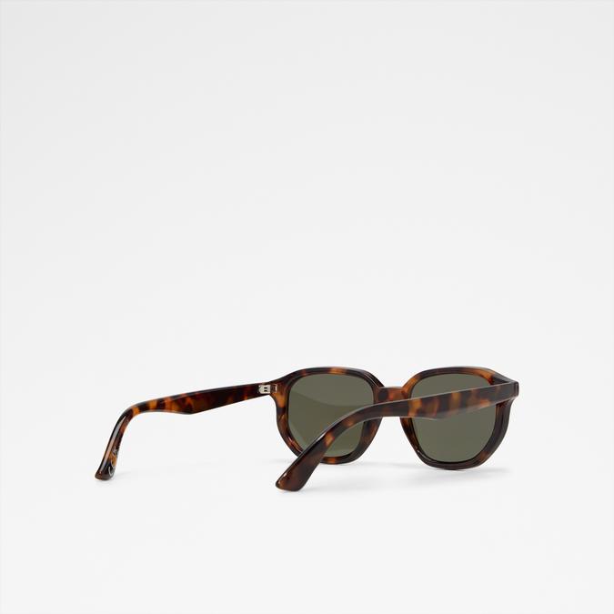Raywien Men's Brown Sunglasses image number 2
