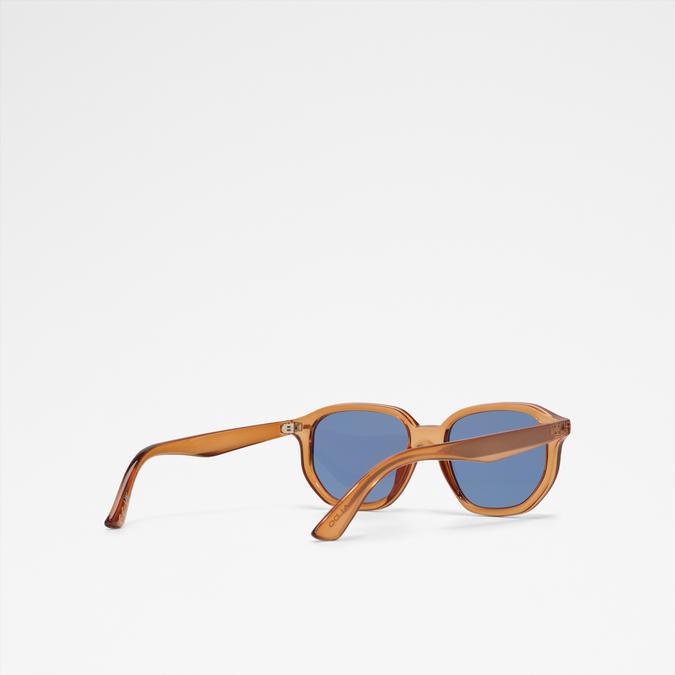 Raywien Men's Brown Sunglasses image number 2