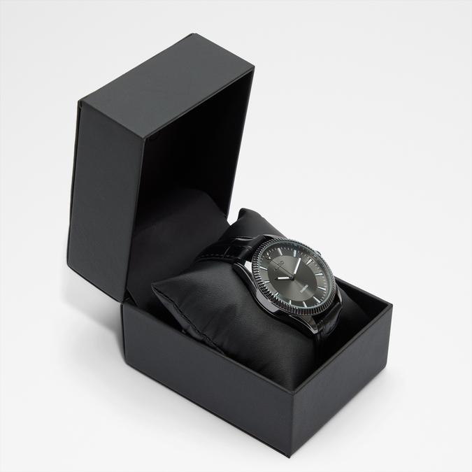 Challister Men's Multicolor Watches